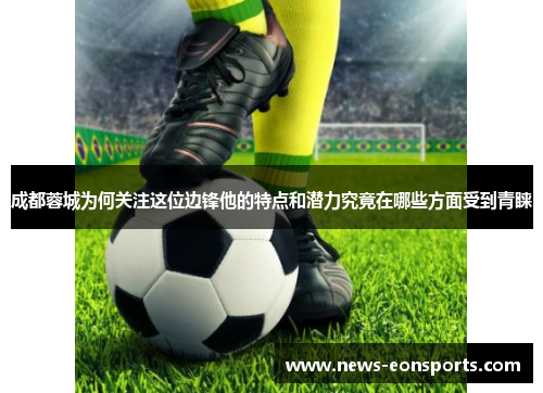 成都蓉城为何关注这位边锋他的特点和潜力究竟在哪些方面受到青睐